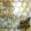 Frottage Drawing from the Threatened Pollinators installation
